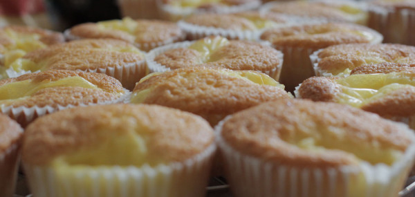 Pudding Muffins