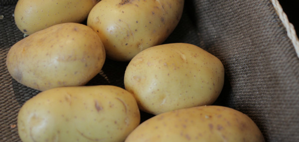 kartoffeln